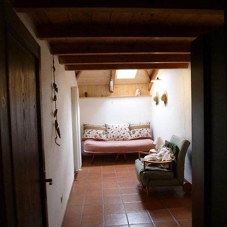 In Plait Bed and Breakfast Cercivento Exteriör bild