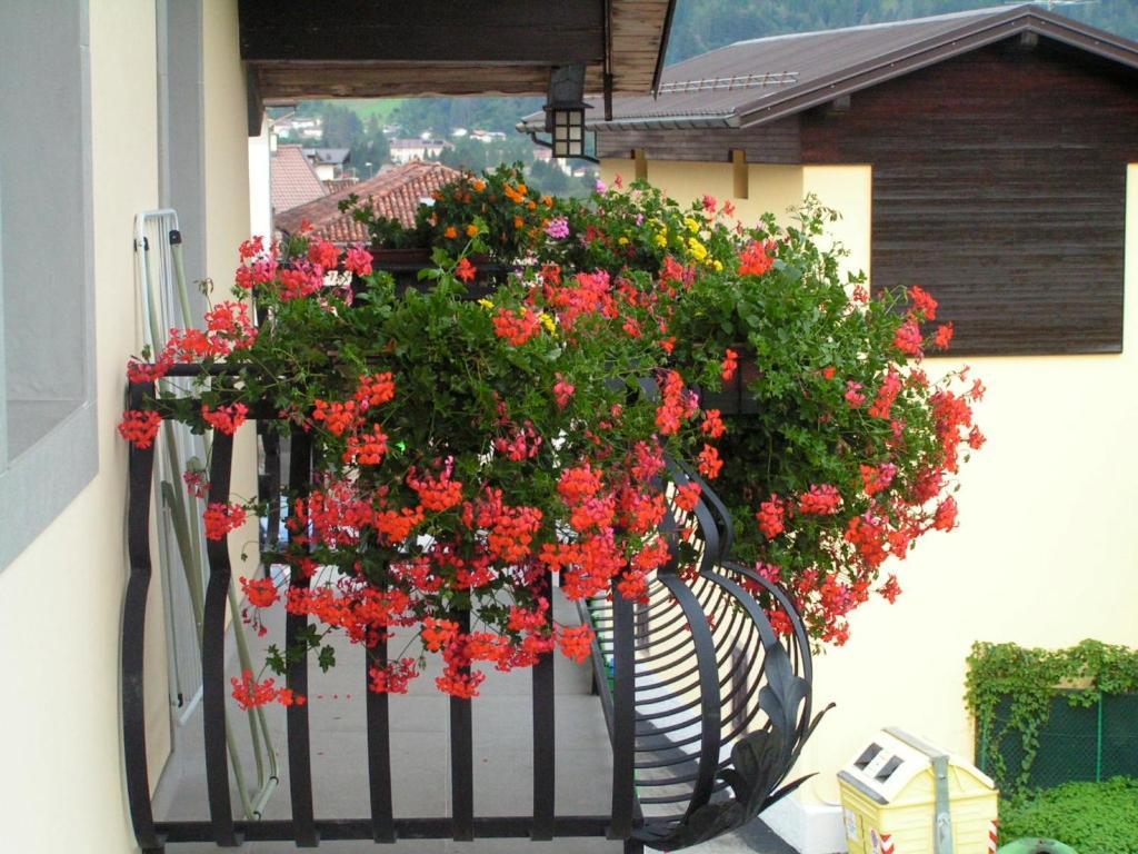 In Plait Bed and Breakfast Cercivento Exteriör bild